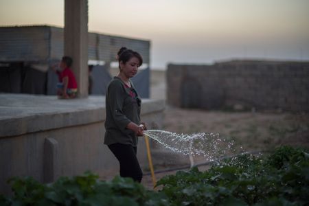 Sinjar, Iraq - Hana Khidera waters her plants in Sinjar, Iraq. (Sean Sutton)
