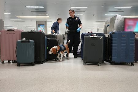 Agriculture Specialist Ortiz walks her K-9, Snoopee, through multiple passengers' pieces of luggage to detect prohibited items in Miami, Fla. (National Geographic)