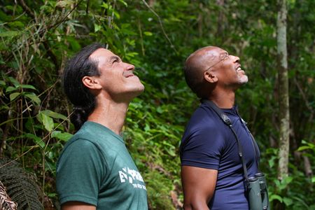 Jorge Perez and Christian Cooper gaze up at the tiny but mighty endemic Puerto Rican Tody in the trees above. (National Geographic for Disney)