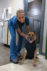 Vet tech Val Sovereign smiles with Dublin the Rhodesian ridgeback boxer mix as they celebrate the end of the successful surgical procedure that removed a large mass from Dublin's shoulder and a small mass from his eyelid. (National Geographic)