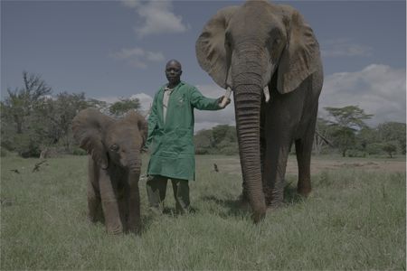 Phillip Okode standing next to elephants Murera and Mwana. (Big Wave Productions)