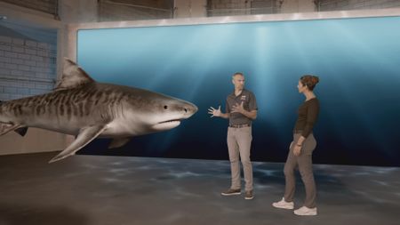 Dr. Mike Heithaus speaking with Dr. Diva Amon while analyzing a GFX Tiger shark in the shark studio lab. (National Geographic)