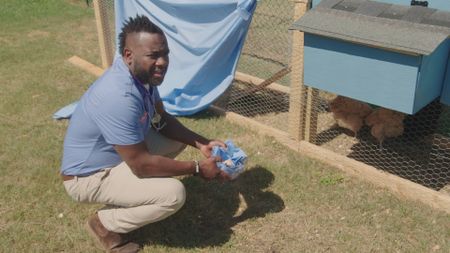 Dr. Hodges collects some eggs from the new chicken coop at the clinic. (National Geographic for Disney)