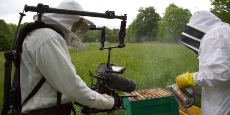 Beekeeper steaming the bee's nes as a cameraman films him. (Big Wave Productions)