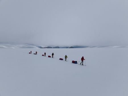 Alex Honnold leads his expedition team across the Renland Icecap in Eastern Greenland.  (photo credit: National Geographic/Pablo Durana)