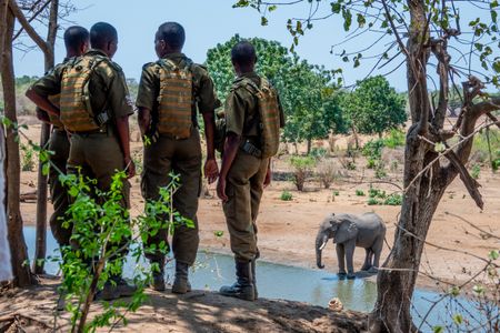 Zimbabwe - Akashinga Rangers with elephant at watering hole. (Credit: National Geographic/Kim Butts)
