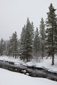 A still stream flowing through a snowy landscape.  (National Geographic/Jeff Reed)