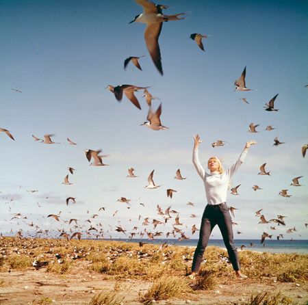 Valerie on beach surrounded by birds in flight,  1971.  (photo credit: Ron & Valerie Taylor)