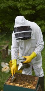 A beekeeper blows smoke onto a bee hive. (Big Wave Productions)