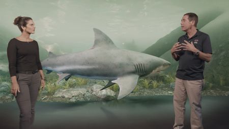 Dr. Diva Amon and Dr. Stephen Kajiura speaking in the shark lab studio, with A GFX of a Great White Shark swimming between them. (National Geographic)