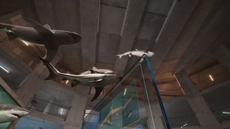 GFX sharks swimming across the ceiling of the shark studio lab. (National Geographic)