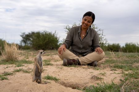 Liz Bonnin watches a meerkat emerge from its den. (National Geographic/Emilie Ehrhardt)