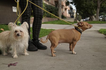 Sweet Pea and Dilly. (National Geographic)