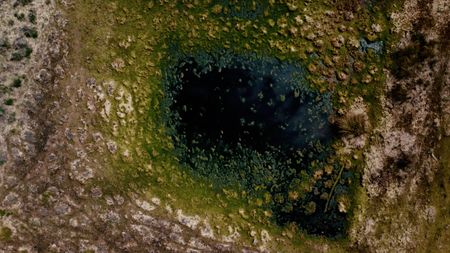 Birds eye view Bourtange moor bogs. (2023 BOG PEOPLE SEASON ONE INC.)