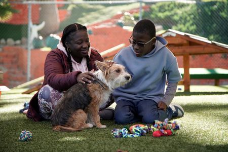 Ramona and Roman with a potential dog for their matchmaking case. (National Geographic)