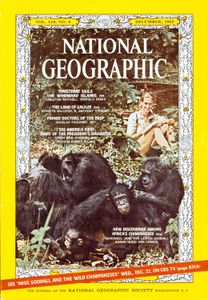 A 1965 National Geographic Magazine cover with Jane Goodall and her chimpanzees .