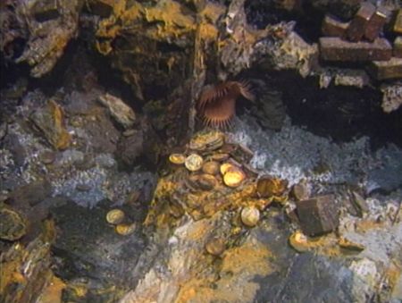 Gold bars and coins are pictured on the bottom of the sea bed off the coast of North Carolina, USA. In 1989, maverick scientist Tommy Thompson stuns the world by recovering three tons of gold from a shipwreck deep in the Atlantic Ocean. What follows is a 30-year story of adventure, deception, and personal turmoil, taking him from venerated celebrity to infamous fugitive, and finally a defiant prisoner who refuses to give up his gold. (Recovery Limited Partnership Liquidating Trust)