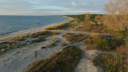 Andy walking on beach. (National Geographic)