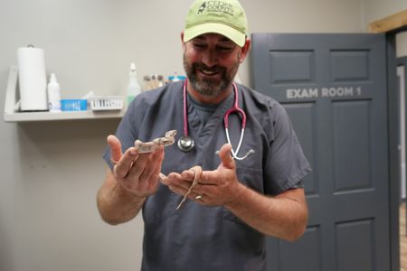 Dr. Ben Schroeder does a wellness check on Shay, a baby boa constrictor. (National Geographic)
