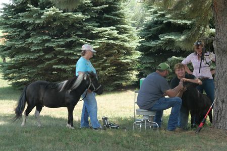 Jonny Binkard stands to the side with her miniature horse, Bo, while Dr. Ben completes the final dental inspection on Magnum, Jonny's other miniature horse. Charlie Schroeder and Dr. Erin Schroeder help out by keeping Magnum still. (National Geographic)