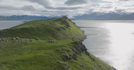 A brown bear sow and her three cubs on Ninagiak Island. (credit: National Geographic/John Shier)