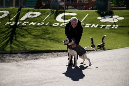 Cesar puts a vest on Brunello. (National Geographic)