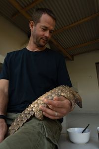 Baby Archie the pangolin joins Giles Clark for breakfast. (National Geographic/Cherique Pohl)