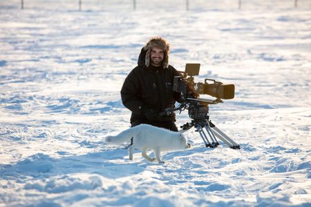 An Arctic fox approaches camera operator Nick Widdop. (National Geographic for Disney/Dani Godwin)