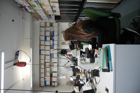 University College London geoarchaeologist Anke Marsh examines a fresh sample in the lab. (Windfall Films/Josh Rowley)