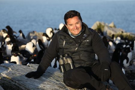 Dr. Pablo Borboroglu among Rockhopper penguins. (credit: National Geographic/Anthony Pyper)