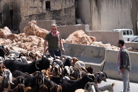 Gordon Ramsay herds sheep and cattle in the streets. (National Geographic/Justin Mandel)