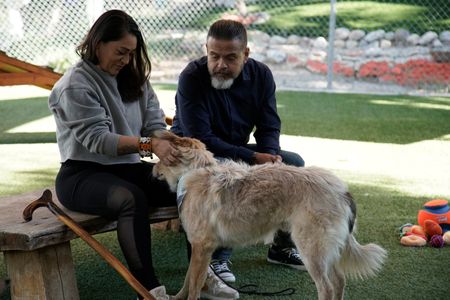 Victoria and Adrian interacting with Maverick. (National Geographic)