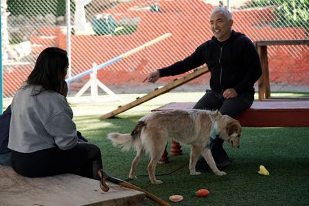 Cesar Millan talking to a client. (National Geographic)