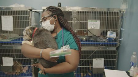 Vet tech Arianna comforts Ande, the dog, in the treatment room. (National Geographic for Disney)