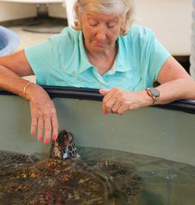 Jennie looks down at a turtle in an enclosure. (Big Wave Productions)