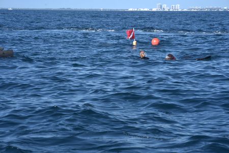Anthony Mackie and shark scientist Jasmin Graham swimming with sharks at the Deep Ledge snorkel site, with the skyline of West Palm Beach in the background. (National Geographic/Lisa Tanner)