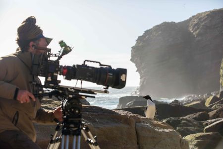 A rockhopper penguin emerges from the sea to find cinematographer Tom Beldam waiting. (National Geographic for Disney/Imogen Prince)