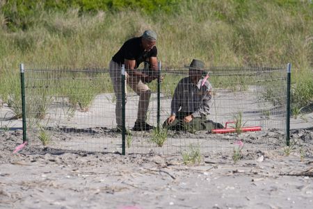 Christian Cooper and National Park Service biologist Mike Foguer set up an exclosure for a Piping Plover nest at Fort Tilden. (National Geographic/Troy Christopher)