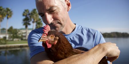 Dave Cox holding Sammin the chicken. (Big Wave Productions)