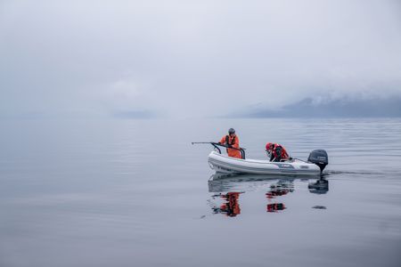 Scientists Ed Lyman and Heather Riley prepare to tag a humpback whale. (National Geographic for Disney/Katie Vickers)