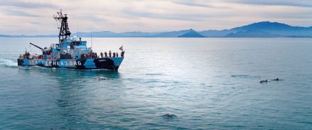 Sea Shepherd Vessel in the coastal waters of San Felipe. (photo credit: National Geographic)