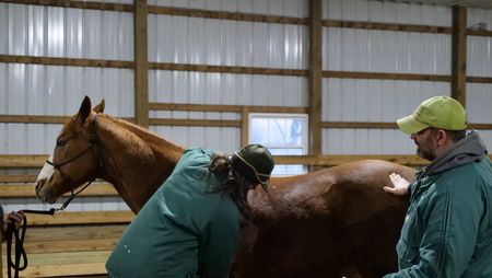 Drs. Erin and Ben Schroeder examine the horse Stylin's armpit. (National Geographic)