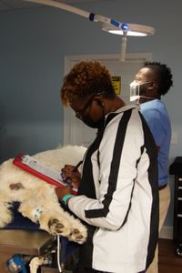 Senior vet tech, Andrea Wallace, takes notes during Casper the dog's endoscopy. (National Geographic for Disney/Felix Rojas)