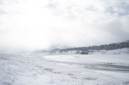 A snowy valley of Yellowstone National Park.  (National Geographic/Thomas Winston)