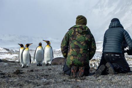 Producer Director Anthony Pyper and  Camera Operator Miguel Willis film King Penguins. (National Geographic for Disney/Robin Hoskyns)