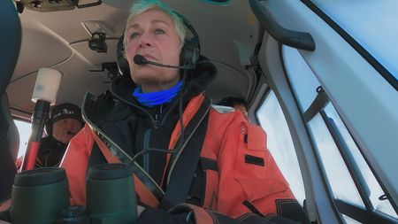 Marine mammals scientist Kit Kovacs heads up in the helicopter to look for Bowhead whales to tag. (National Geographic)