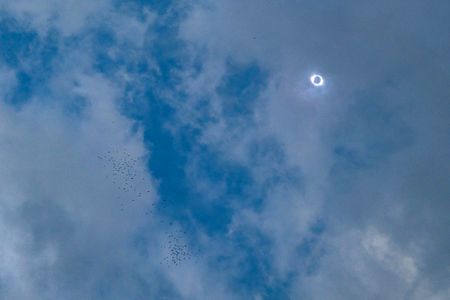 Swallows and raptors fly in the sky next to the total solar eclipse observed from Frio Cave in Uvalde County, Texas on April 8, 2024. Hundreds of swallows gradually returned to the cave to roost just before totality but one group stayed in the sky. (Credit: Babak Tafreshi/National Geographic)