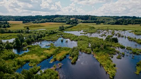 Bogs near Silkeborg, Denmark. (2023 BOG PEOPLE SEASON ONE INC.)