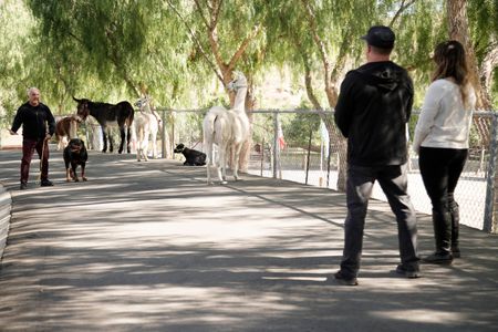 Johnnie and Celestria watch as Cesar walks Beast. (National Geographic)