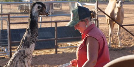 Petah with Toto the emu. (Big Wave Productions)